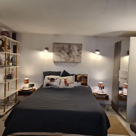 35M2 Hauts D'Albertville Terrasse Avec Vue Pallud Exterior foto